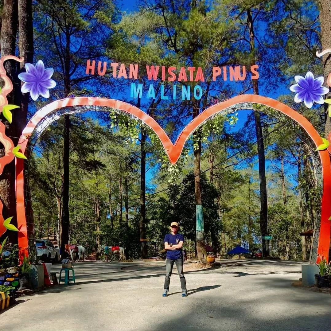 hutan wisata pinus
