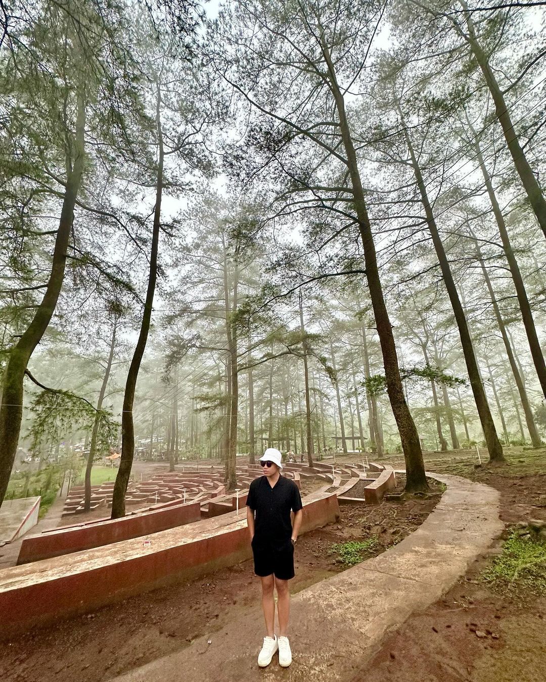 lokasi hutan pinus malino