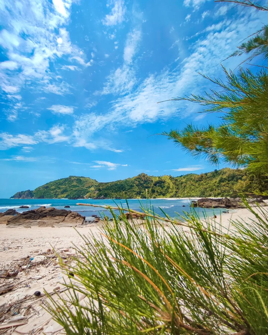 lokasi pantai wediombo