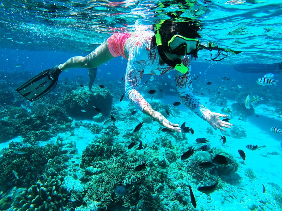 snorkeling di pulau penyu bulukumba