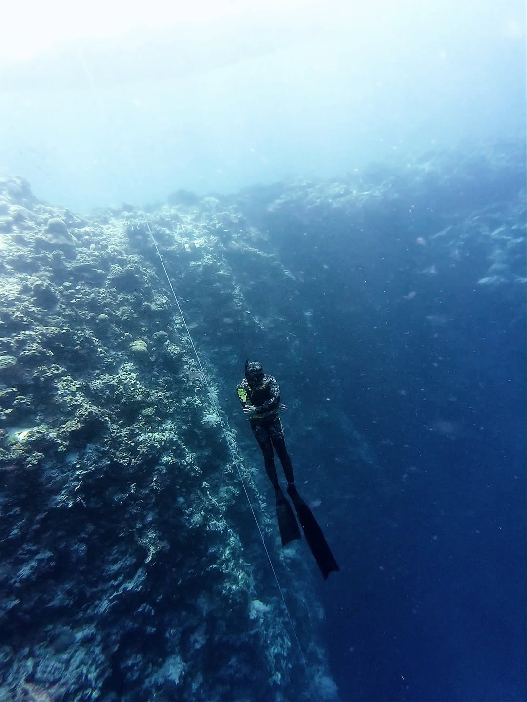 Diving di Pulau Cantik Sulawesi Selatan