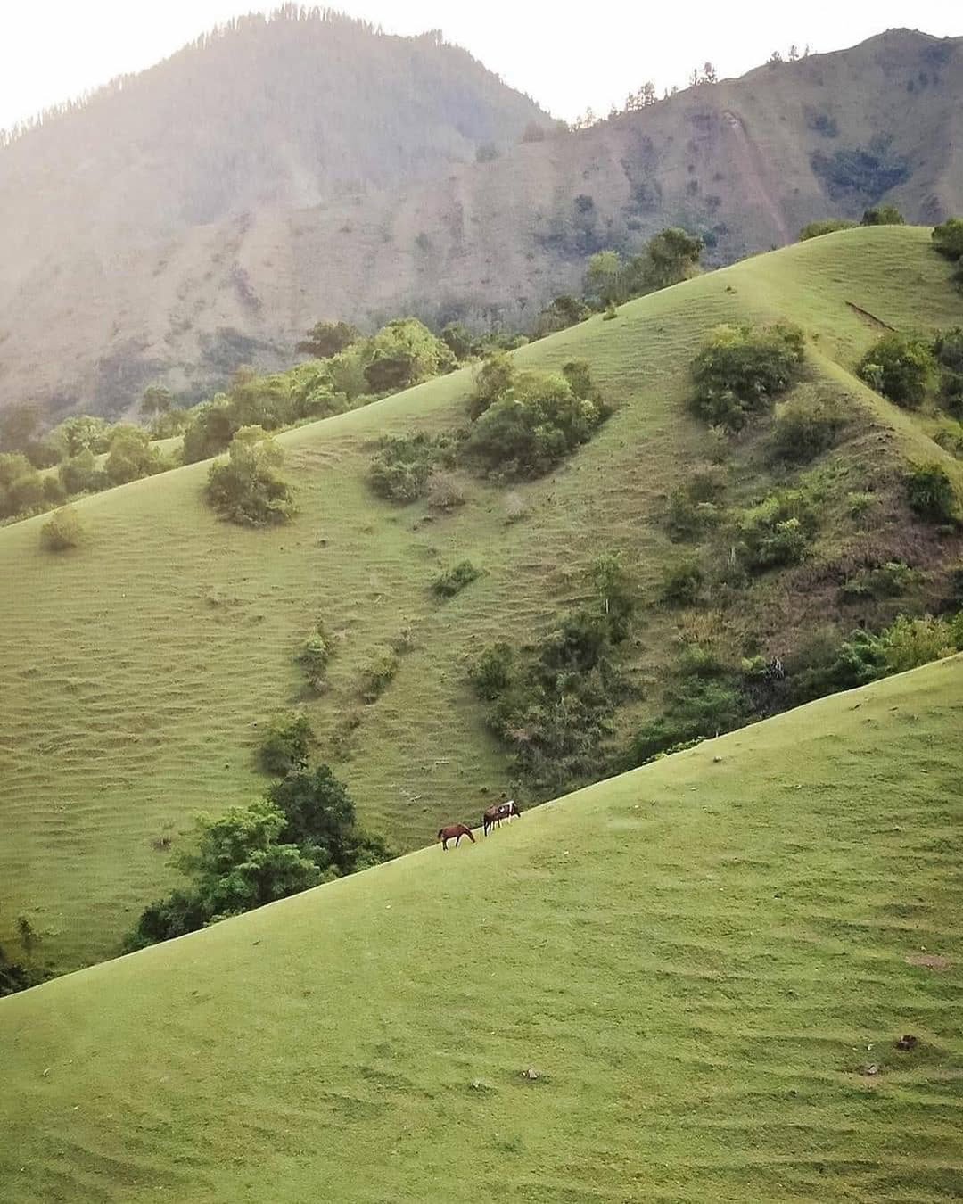 pemandangan bukit ollon