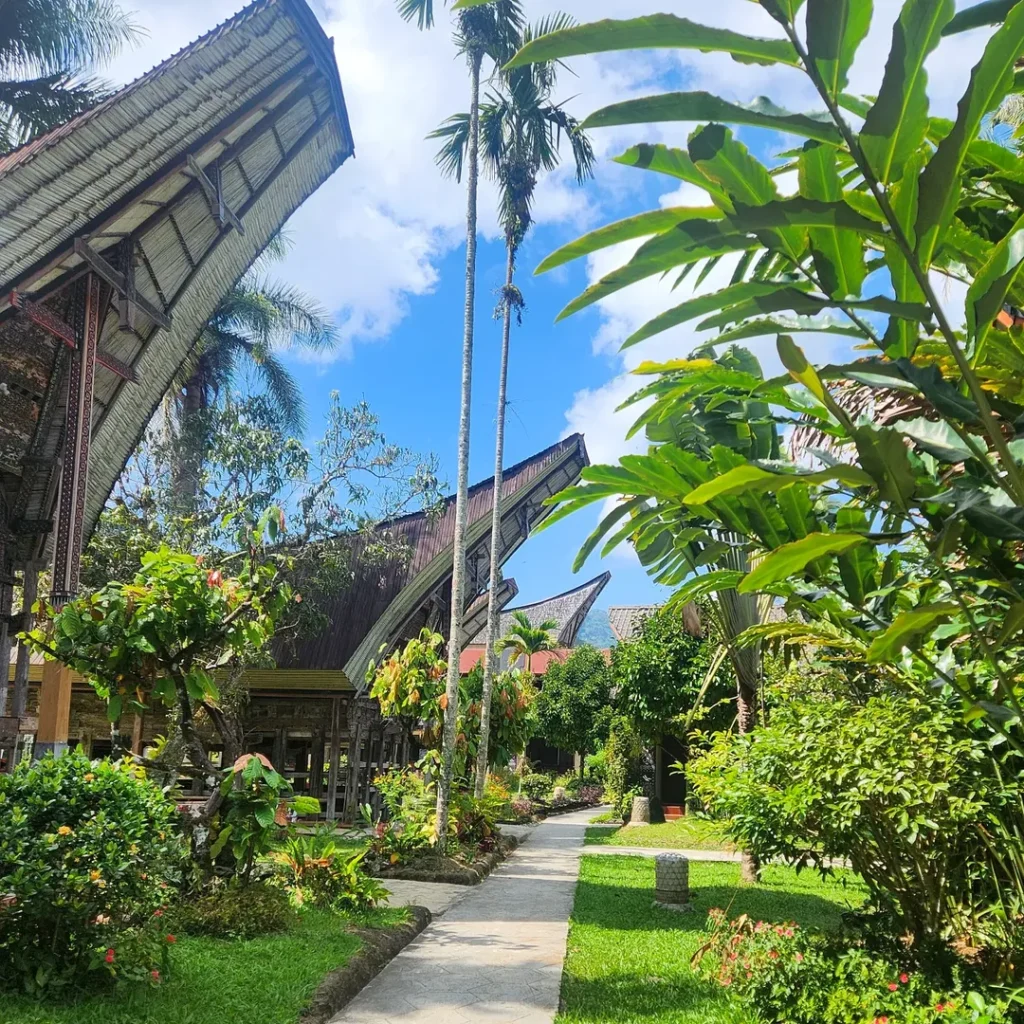hotel dan penginapan terbaik di toraja