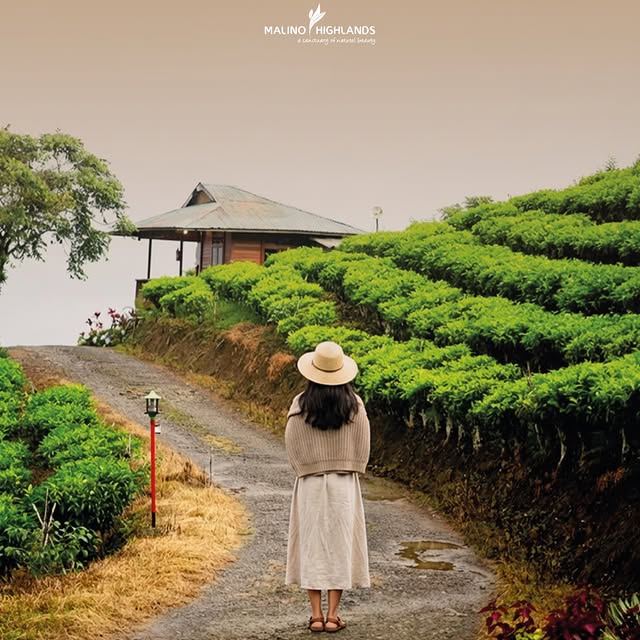 wisata di malino